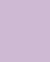 137309808_181501256997326_6101667417036452295_n