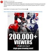 flohockey