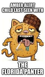 Panter