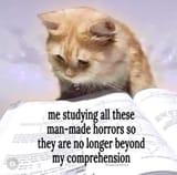 1731604665779762