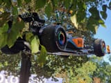 mclaren tree