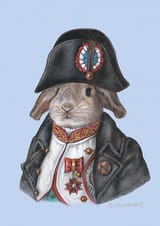 RabbitNapoleon_DIN_LQ