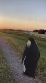 1739645560381478