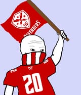 defenders flag