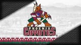 yotes
