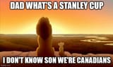 canadian mufasa simba