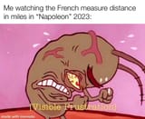 Napoleonic_Imperial_Mile_Measurement_System