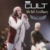 cult