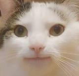 1745795161900562