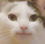 huh