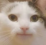 you
