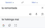 whatever the Māori thing is 