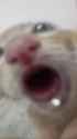 1723553708010965_thumb.jpg