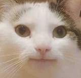 me