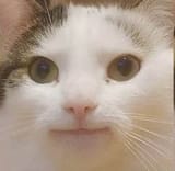 you