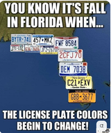 1739295566725449