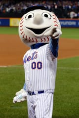 Mr Met