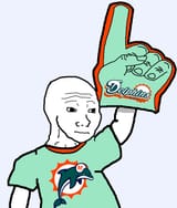 feel guy dolphins
