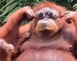 o.o