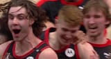 White CHADs own the NBA