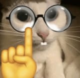 cat-nerd-emoji