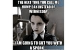 angry-hump-day-meme