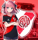 816 8567