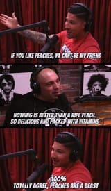 schaubpeachbeast