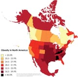 obesity-in-north-america-2021-v0-psf587c6xi4a1