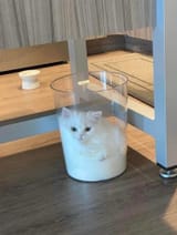 1705371348465016