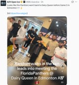 panthers