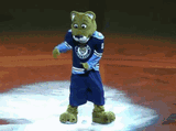 florida-panthers-stanley-c-panther