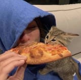 catpizza2