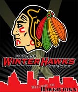 hawkeytown1