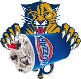 panthers blizzard