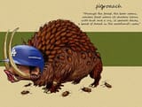 Pigroach
