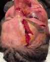 aldanacut_thumb.jpg