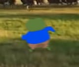 run
