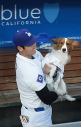 doggie2