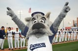 Somerset_Patriots_Mascot_2_Search_2025_06_04