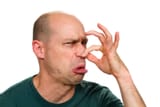 mfw niggers