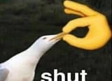PNG image