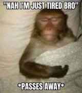 1708490389080545