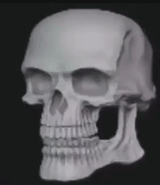 7qxdksxypnmc1