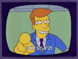 you stupid