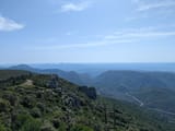 PXL_20250601_084046164 (1)