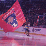 panthers-stanley