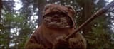 a-wicket-bio-1_copy_f3544c59