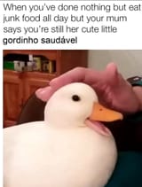 gordinho saudavel