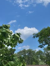 IMG_20250619_134020829